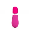  BL-36300 Petite Massage Wand Pink