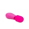  BL-36300 Petite Massage Wand Pink