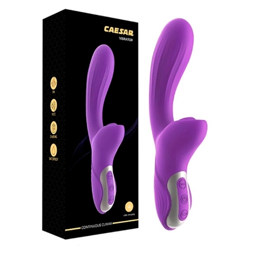  SL-208 CAESAR VIBRATOR